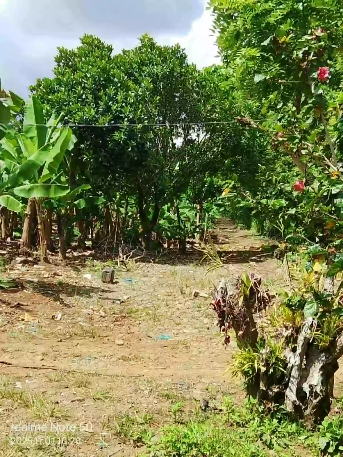For Sale Agricultural Lot in Tagakpan, Davao City — investment land — Agricultural Lot in Davao City, Davao del Sur, 8000 — Photo 3