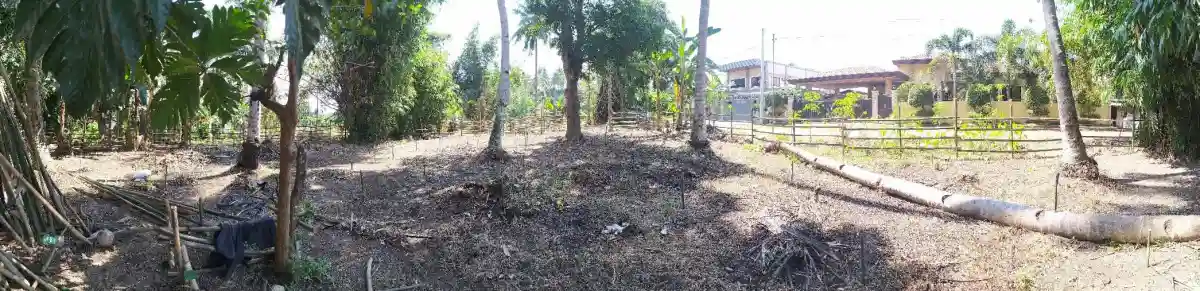 1,116 SQM CORNER LOT WITH NATURAL SPRING WATER FOR SALE