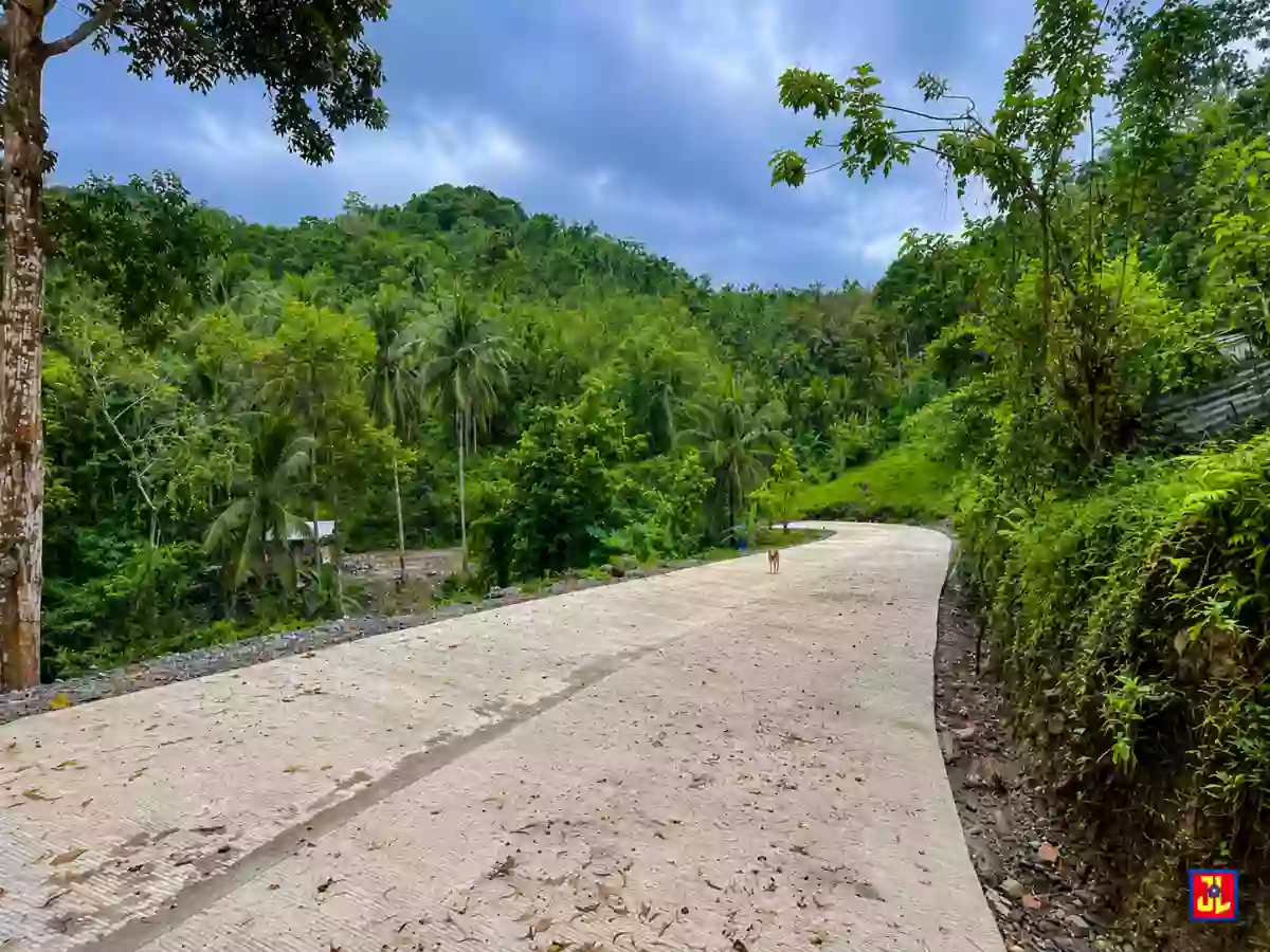 For Sale: 2,514sqm Overlooking Lot in Sagbang, Valencia, Negros Oriental [available] — Residential Lot in Valencia, Negros Oriental, 6215 — Photo 4