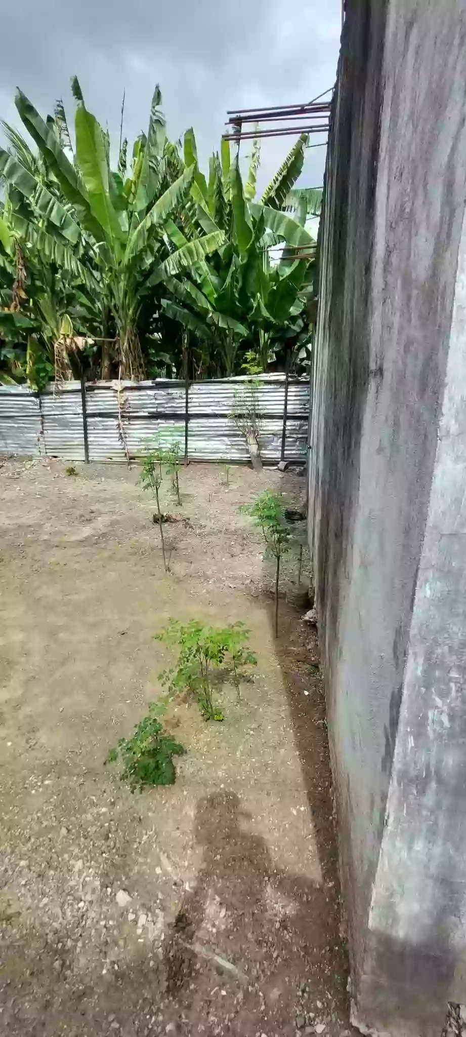 For Sale: Lot with unfinished Bungalow House in San Isidro Talisay City — House and Lot in Talisay City, Cebu, 6045 — Photo 6