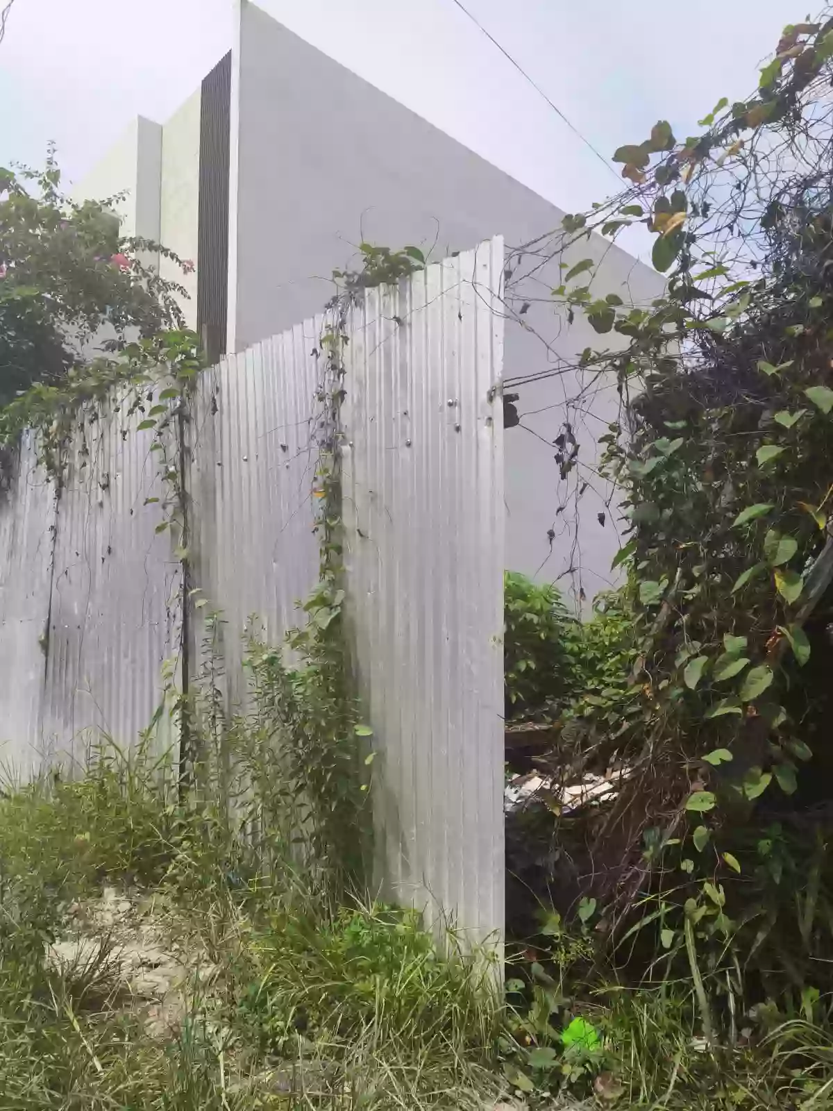 100 sqm Residential Lot for Sale Near Tacloban Astrodome Park, Tacloban City — Residential Lot in Tacloban City, Leyte, 6500 — Photo 5