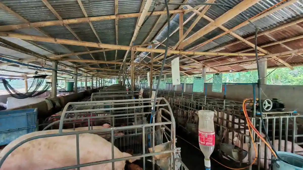 Open photo 20 of 25 — For Sale: Agricultural Lot in Polonuling, Tupi — 20000 sqm