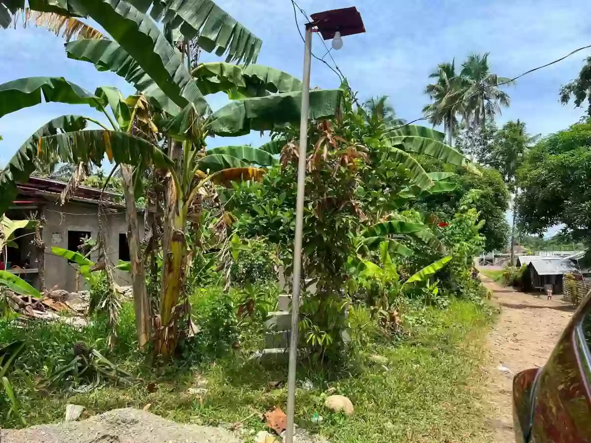 For Sale: Residential Lot in San Juan, Alegria — 100 sqm — Residential Lot in Alegria, Surigao del Norte, 8425 — Photo 4