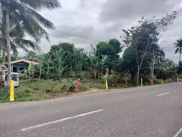 Agricultural Lot for Sale Near Tutay Elementary School, Pinamungahan — 10315 sqm — Agricultural Lot in Pinamungahan, Cebu, 6039 — Photo 6