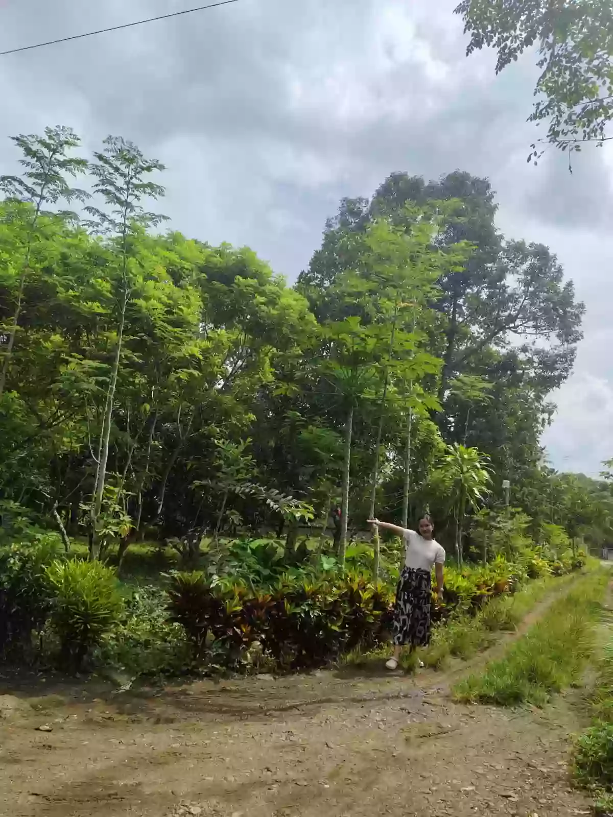 For Sale: Calinan (Pob.) Residential Lot in Davao City — Near School — Residential Lot in Calinan (Pob.), Davao City, Davao del Sur — Photo 7