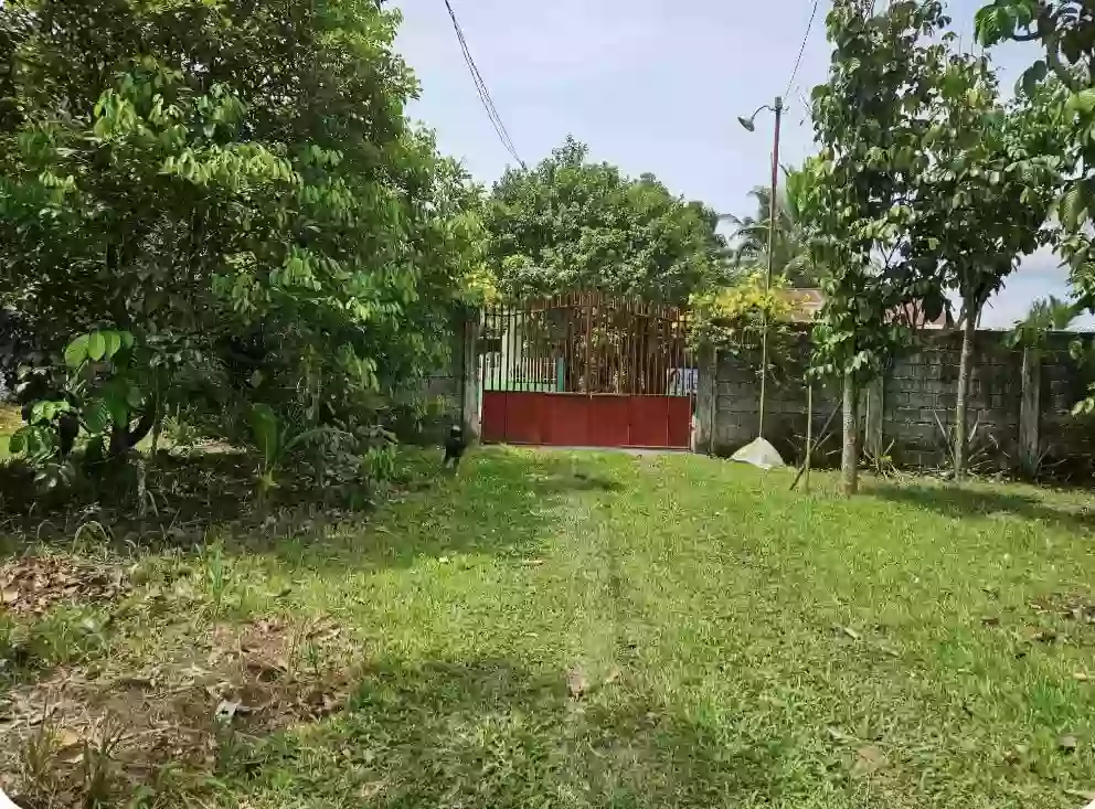 Lot in Silay City — 2427 sqm with existing small house structure