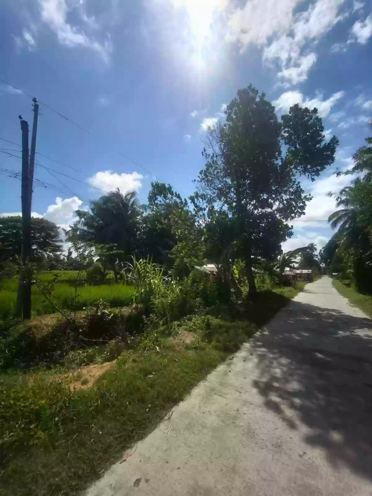 For Sale Agricultural Lot in Patindeguen, Midsayap — 5000 sqm — Agricultural Lot in Patindeguen, Midsayap, Cotabato — Photo 3