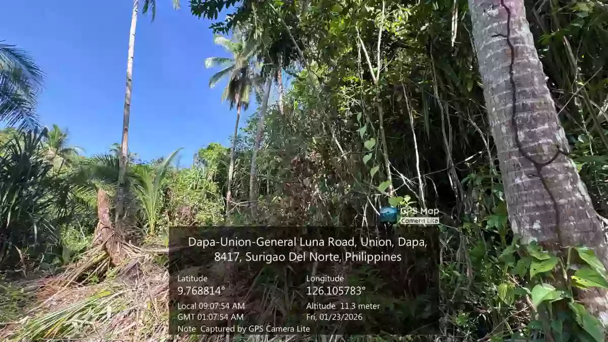 For Sale: Agricultural Lot in Malinao, Gen. Luna — 68000 sqm — Agricultural Lot in Gen. Luna, Surigao del Norte, 8419 — Photo 2