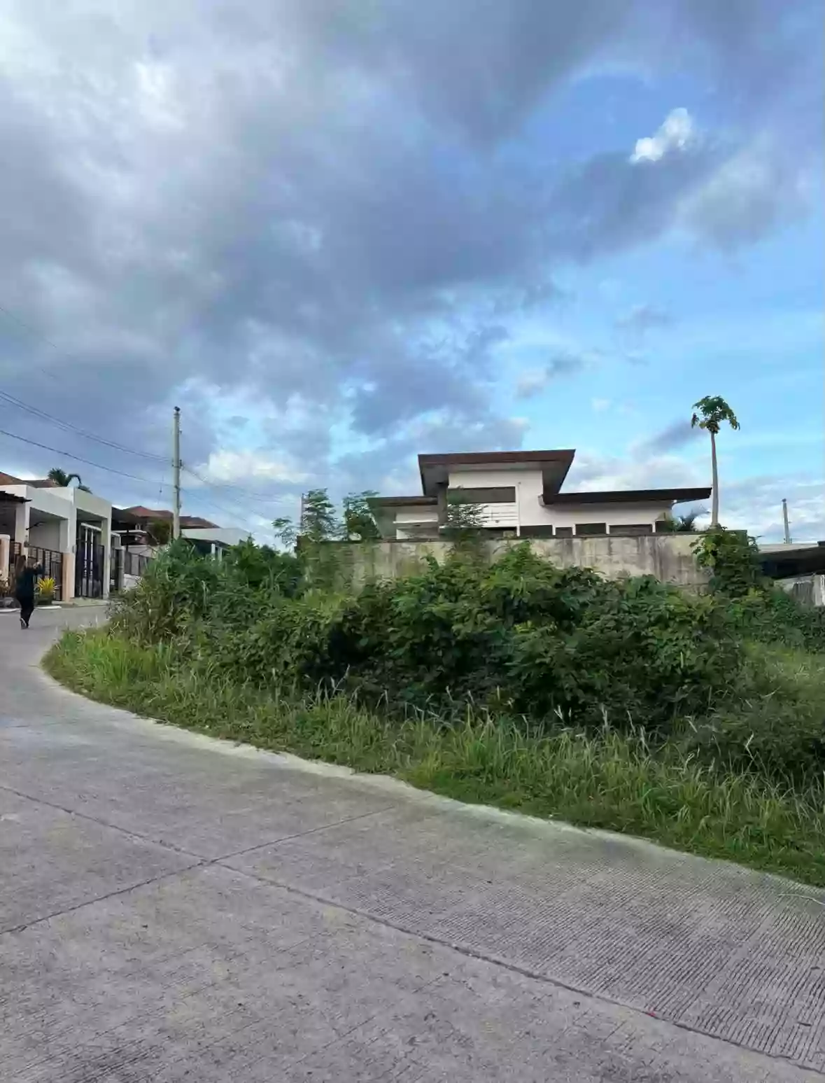 313 sqm Residential Lot for Sale in Communal, Davao City — Investment — Residential Lot in Davao City, Davao del Sur, 8000 — Photo 3