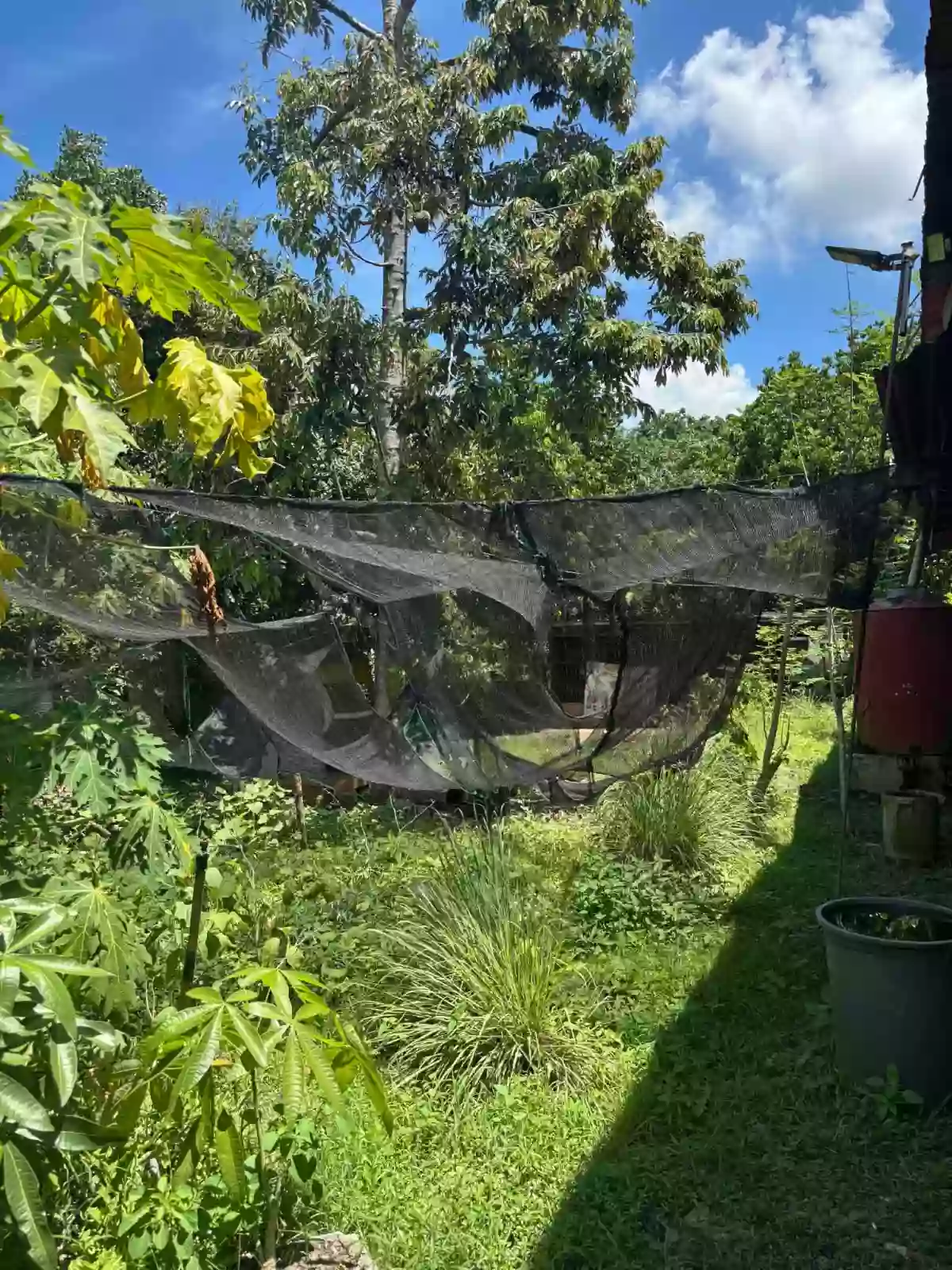 For Sale: Residential Lot in Mintal, Davao City — 800 sqm — Residential Lot in Mintal, Davao City, Davao del Sur — Photo 5