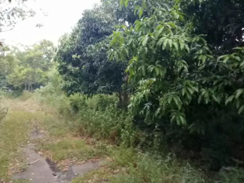 For Sale: 2844sqm Residential Lot in Diversion Road - photo 4
