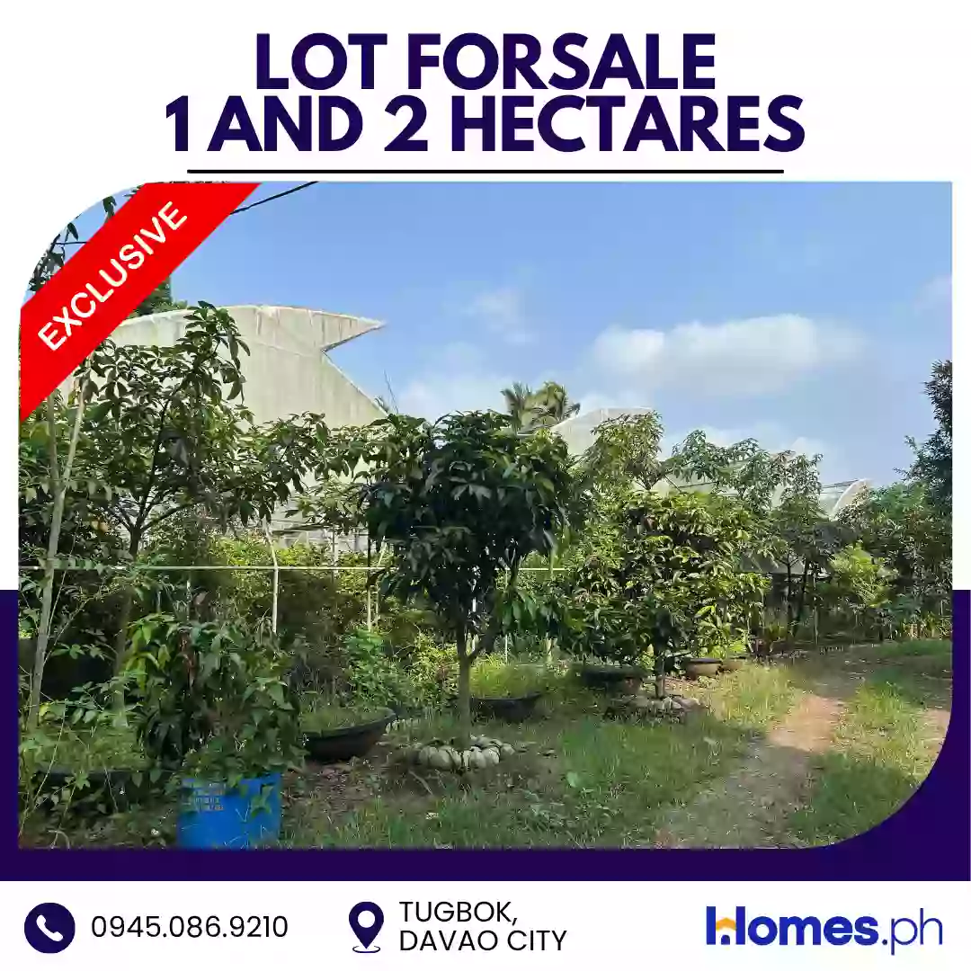 Open photo 16 of 16 — For Sale: Residential Lot in Tugbok (Pob.), Davao City — 30000 sqm