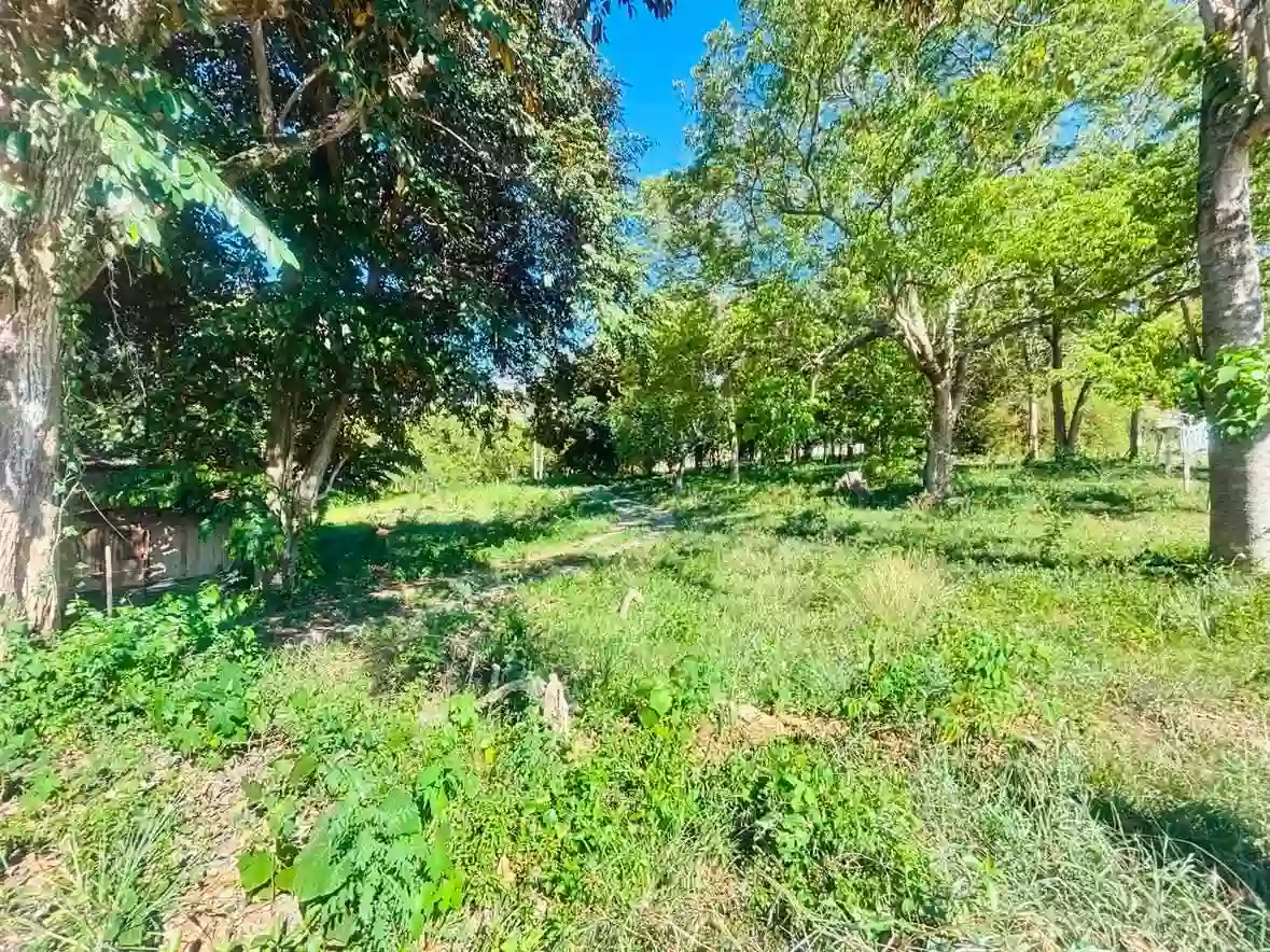 For Sale: Commercial Lot in Bulua, Cagayan de Oro City — 24245 sqm