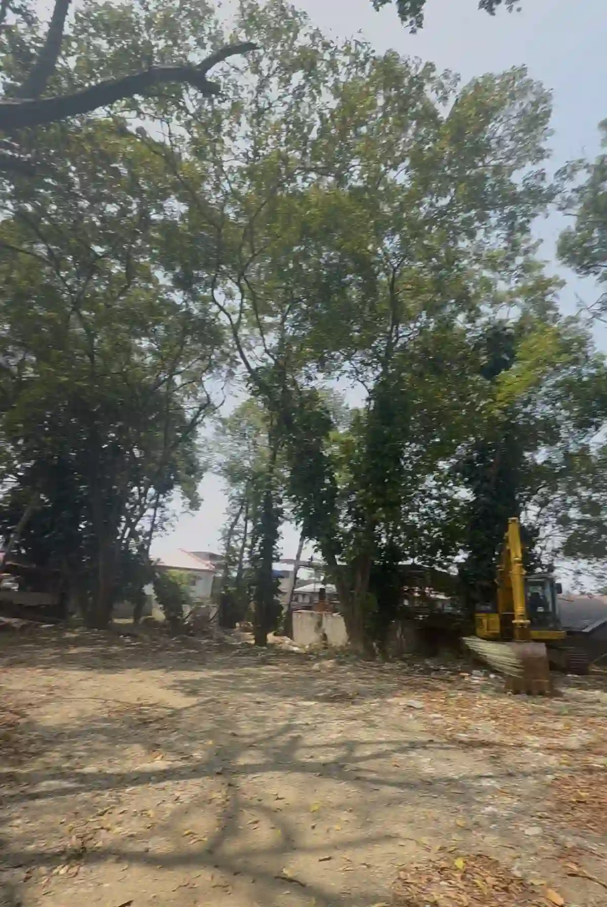 for sale Residential Lot in Buhangin (Pob.), Davao City — 40314 sqm — Residential Lot in Buhangin (Pob.), Davao City, Davao del Sur — Photo 3