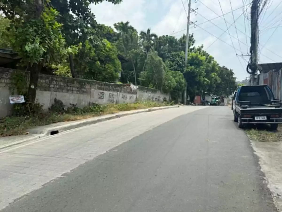 For Sale: Commercial Lot in Kinasang-an, Pardo, Cebu City — 2,388 sqm — Commercial Lot in Cebu City, Cebu, 6000 — Photo 5