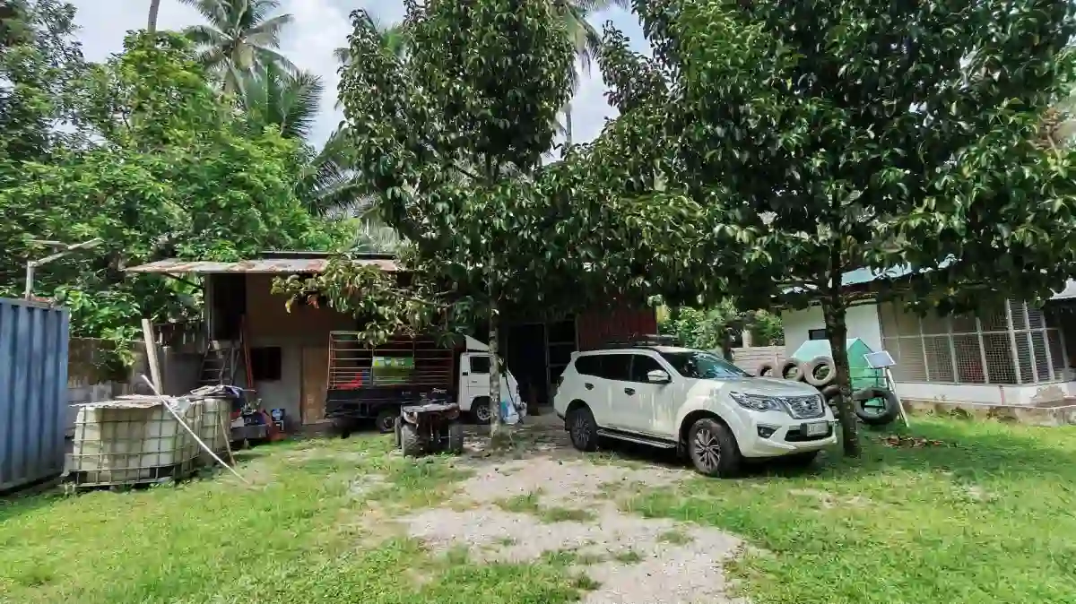For Sale: Agricultural Lot in Polonuling, Tupi — 20000 sqm — Agricultural Lot in Tupi, South Cotabato, 9505 — Photo 2
