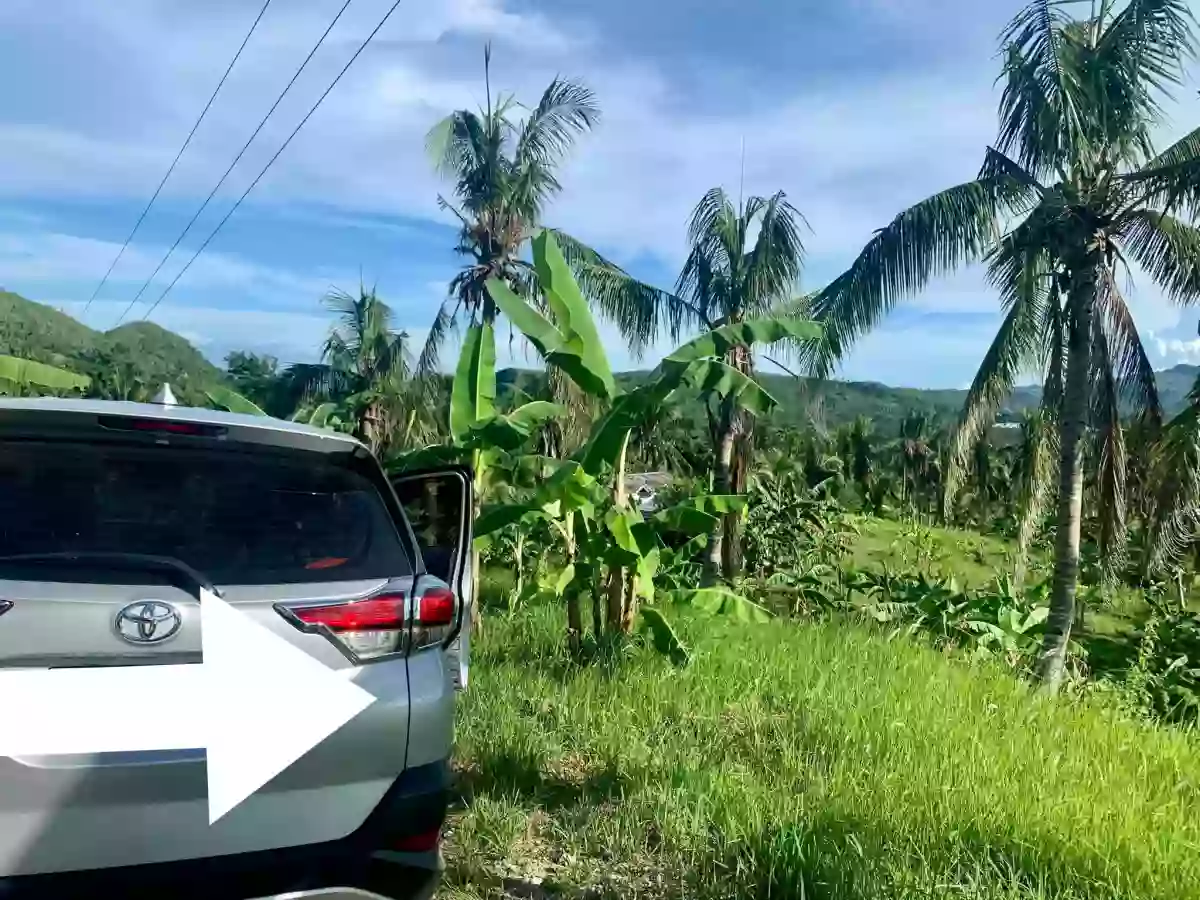 For Sale: Agricultural Lot in Buenavista, Carcar — 21,737 sqm — Agricultural Lot in Carcar, Cebu, 6019 — Photo 7