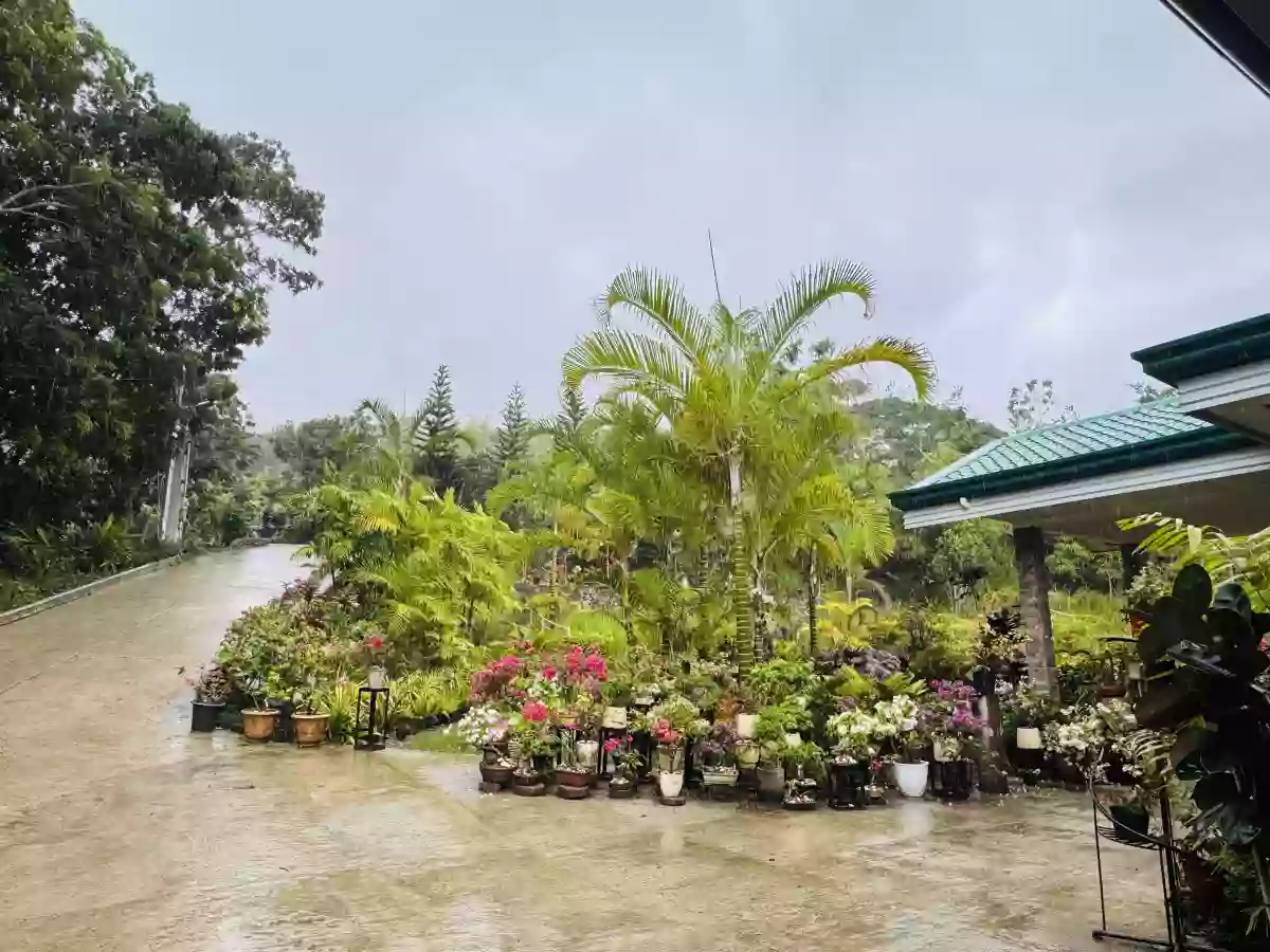 COUNTRYHOME for SALE at Sirao, Cebu with overlooking mountain view — House and Lot in Sirao, Cebu City, Cebu — Photo 2