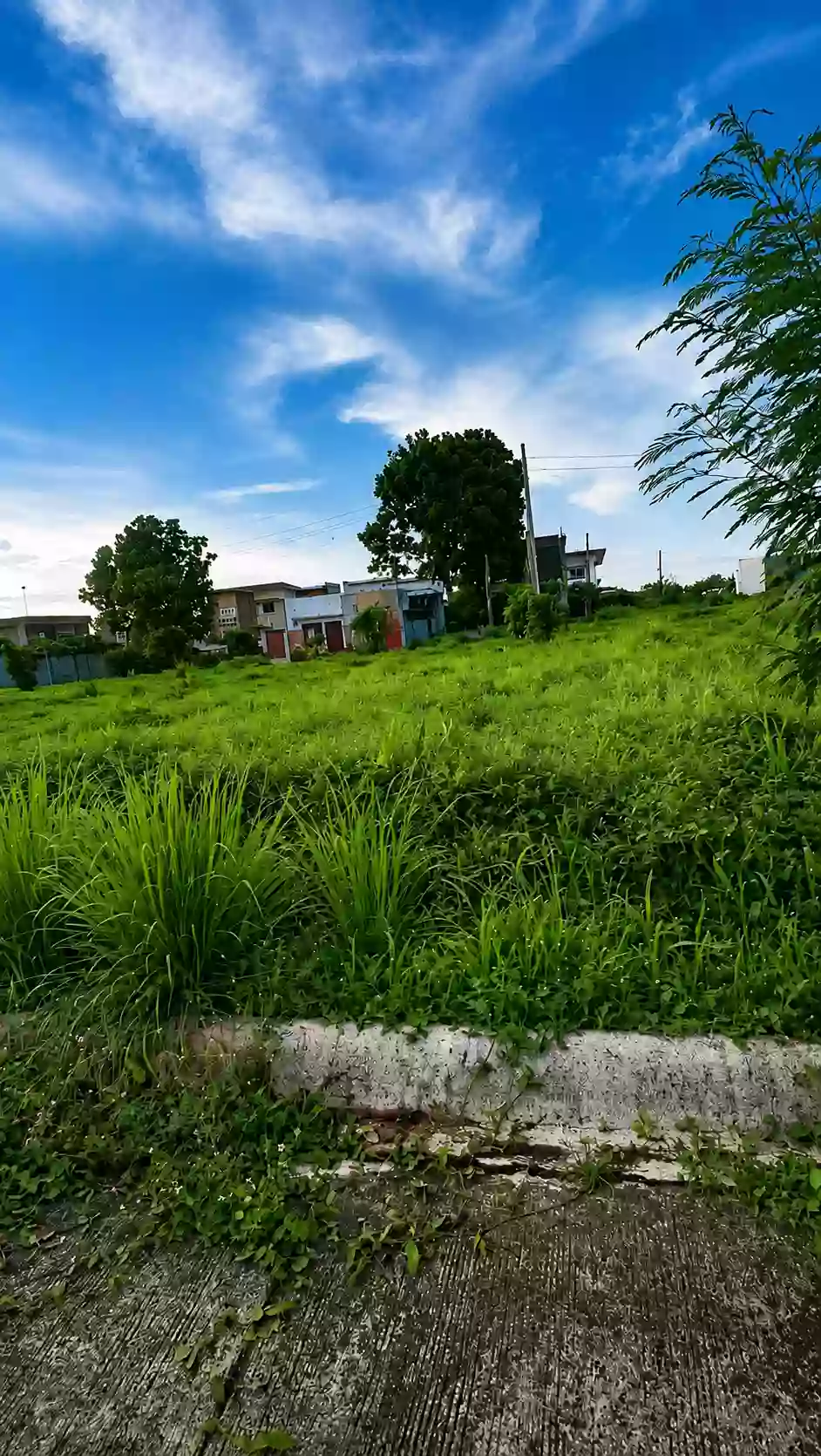 For Sale: Residential Lot in Pacol, Naga City — 96 sqm — Residential Lot in Pacol, Naga City, Camarines Sur — Photo 5