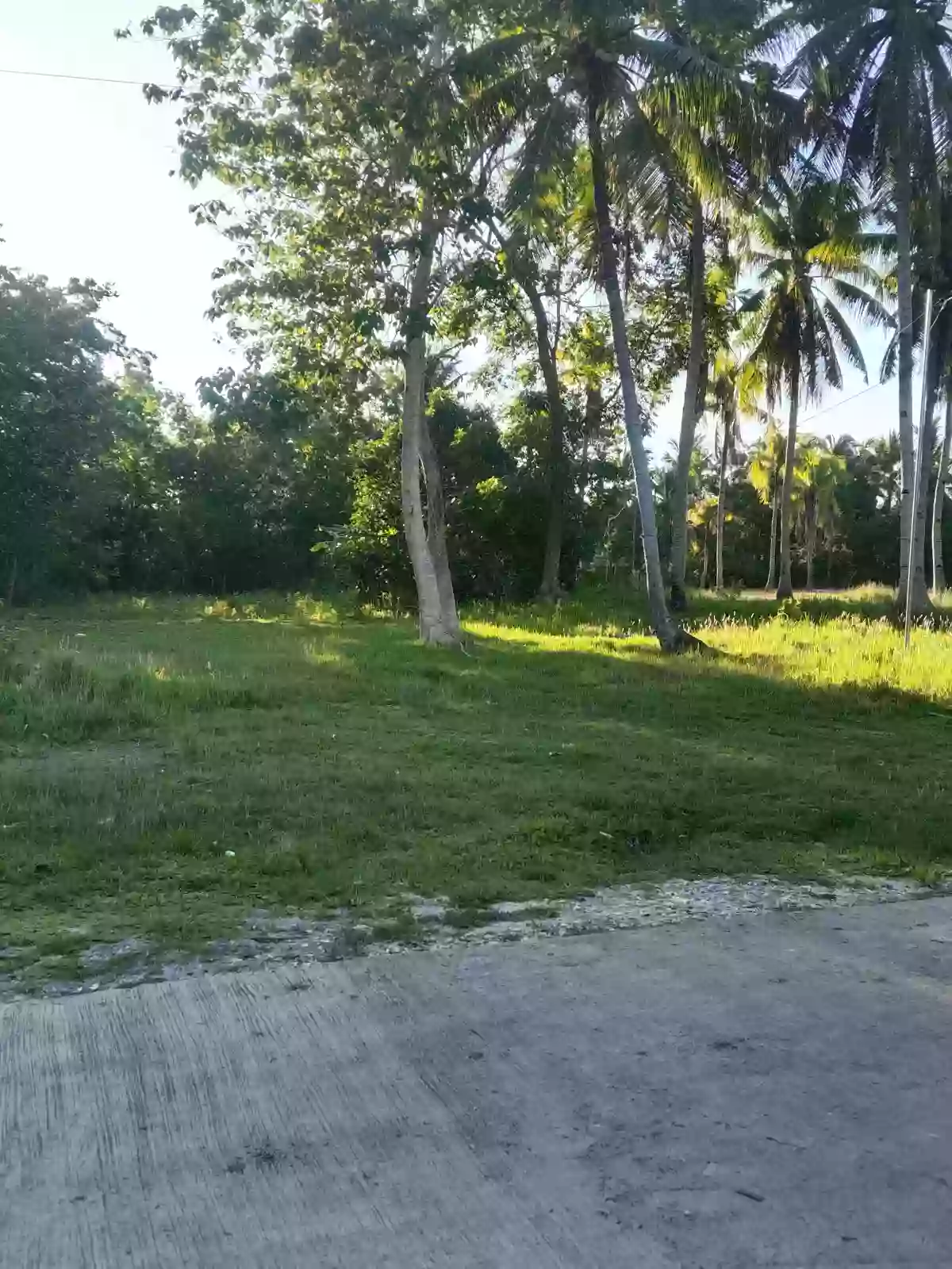 For sale: Residential lot in Montaña,Baclayon — Residential Lot in Montana, Baclayon, Bohol — Photo 3