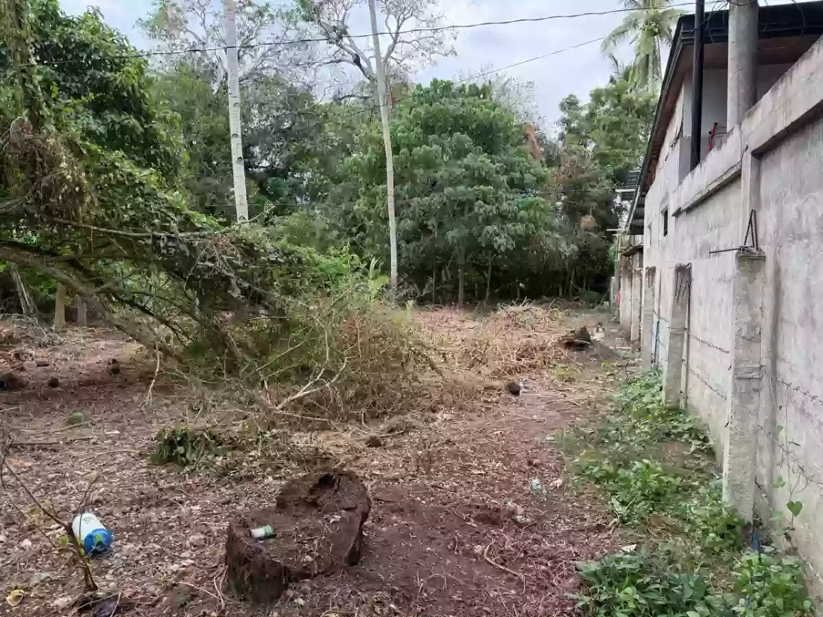 For Sale: Agricultural Lot in Poblacion, Naawan — 1299 sqm — Agricultural Lot in Poblacion, Naawan, Misamis Oriental — Photo 5