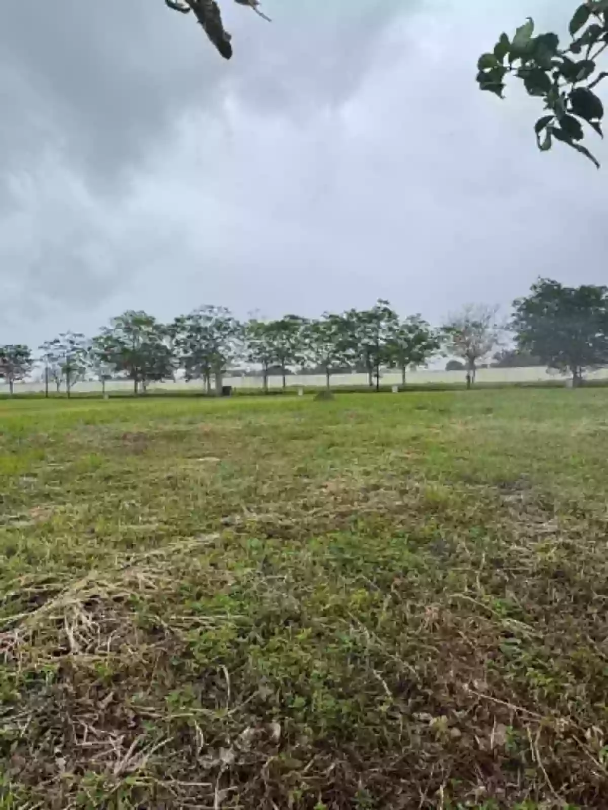 For Assume: Residential Lot in Barangay 15 (Pob.), Bacolod City — 450 sqm — Residential Lot in Barangay 15 (Pob.), Bacolod City, Negros Occidental — Photo 2