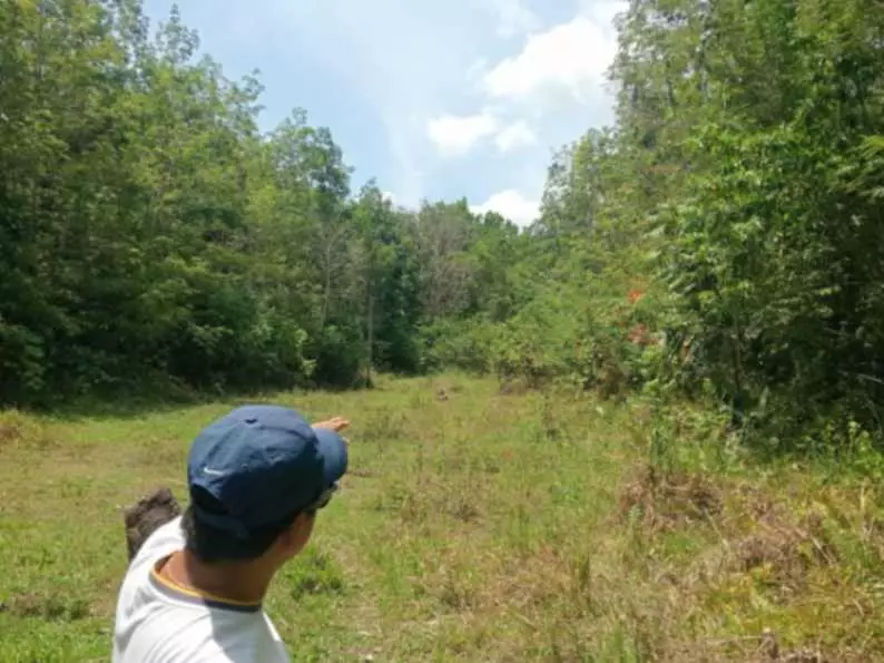 FARM LOT FOR SALE - photo 6