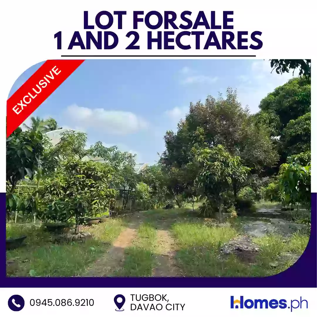 Open photo 13 of 16 — For Sale: Residential Lot in Tugbok (Pob.), Davao City — 30000 sqm