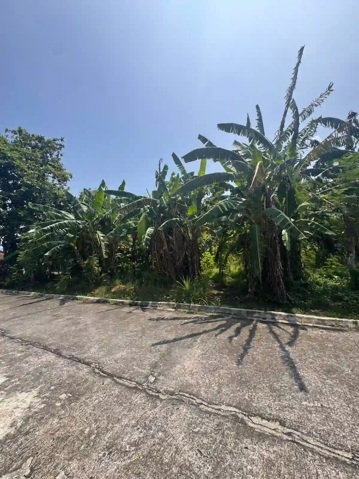 633 SQM Corner Lot For Sale at Executive Village, Carmela Valley Homes Subd. Talisay.. — Residential Lot in Zone 12 (Pob.), Talisay, Negros Occidental — Photo 5