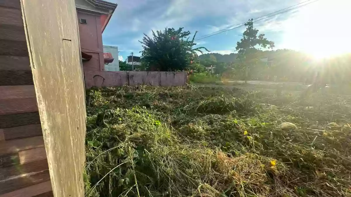 For Sale: Residential Lot in Ma-a, Davao City — 122 sqm Corner Lot — Residential Lot in Davao City, Davao del Sur, 8000 — Photo 4