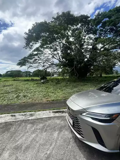 For Sale: Residential Lot in Bulakin, Tiaong, Quezon — 520 sqm — Residential Lot in Tiaong, Quezon, 4325 — Photo 7