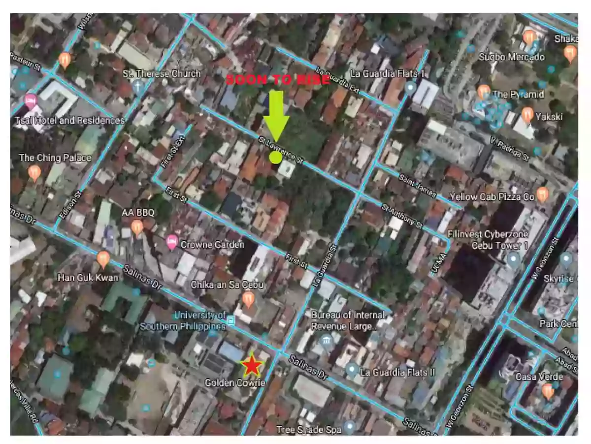 For ASSUME Finish Studio Unit in The Skyline Residences — Studio in Lahug, Cebu City, Cebu — Photo 2