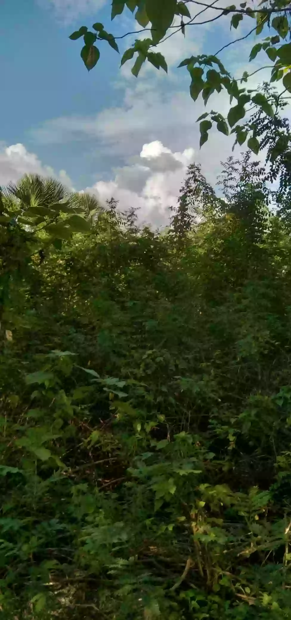 COMMERCIAL / RESIDENTIAL LOT — Commercial Lot in Butuan City, Agusan del Norte, 8600 — Photo 3