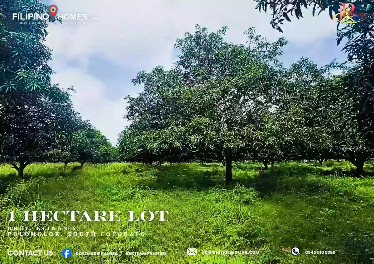 For Sale Agricultural Lot in Klinan 6, Polomolok — 10000 sqm — Agricultural Lot in Polomolok, South Cotabato, 9504 — Photo 2