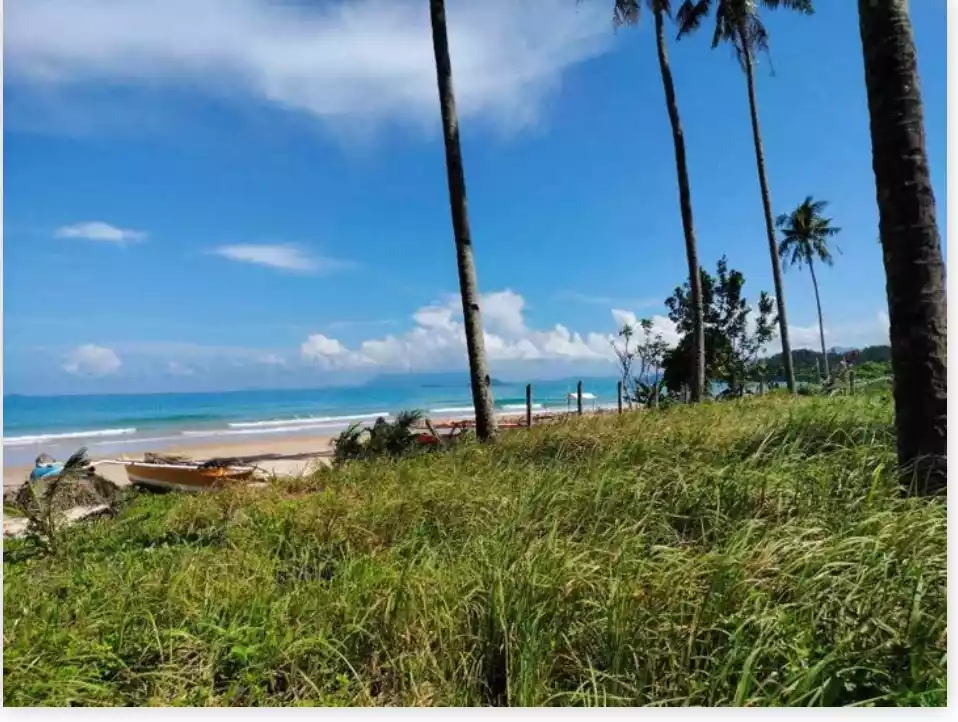 Rush Sale: Beach Lot Near Long Beach, San Vicente — Beachfront — Beach Lot in San Vicente, Palawan, 5309 — Photo 2