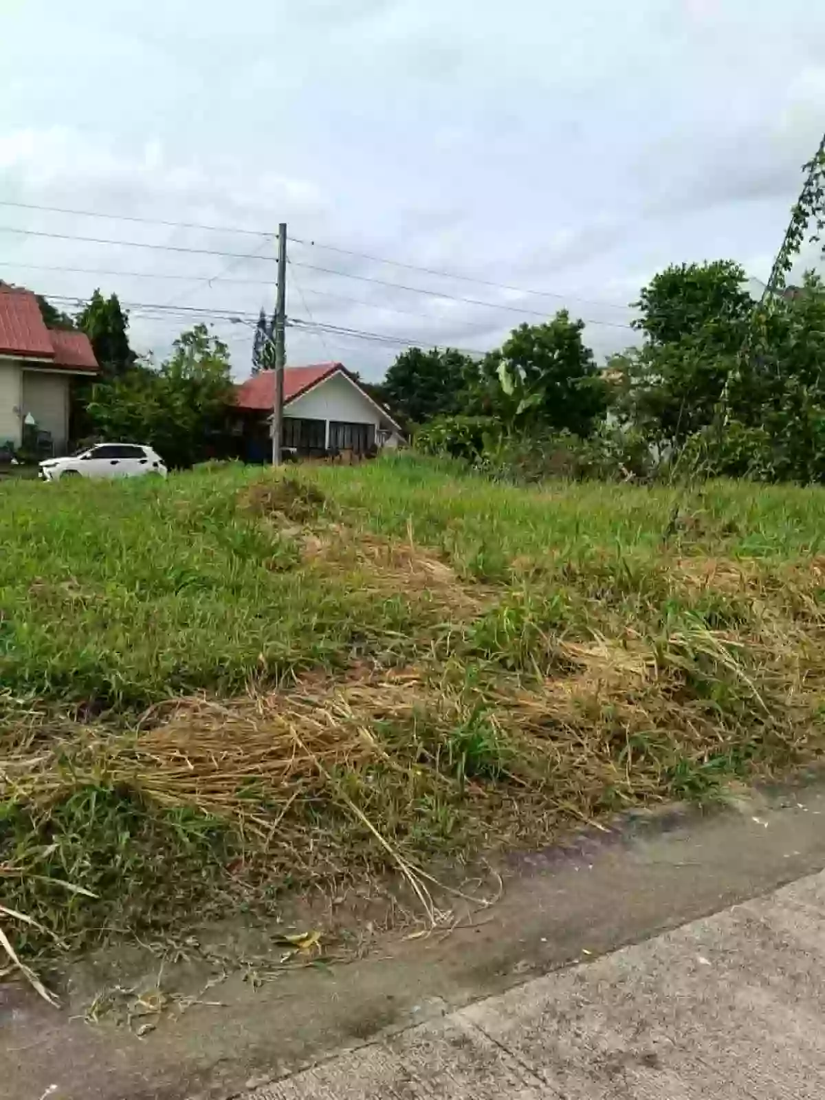 For Sale: Residential Lot in Pacol, Naga City — 125 sqm — Residential Lot in Naga City, Camarines Sur, 4400 — Photo 4