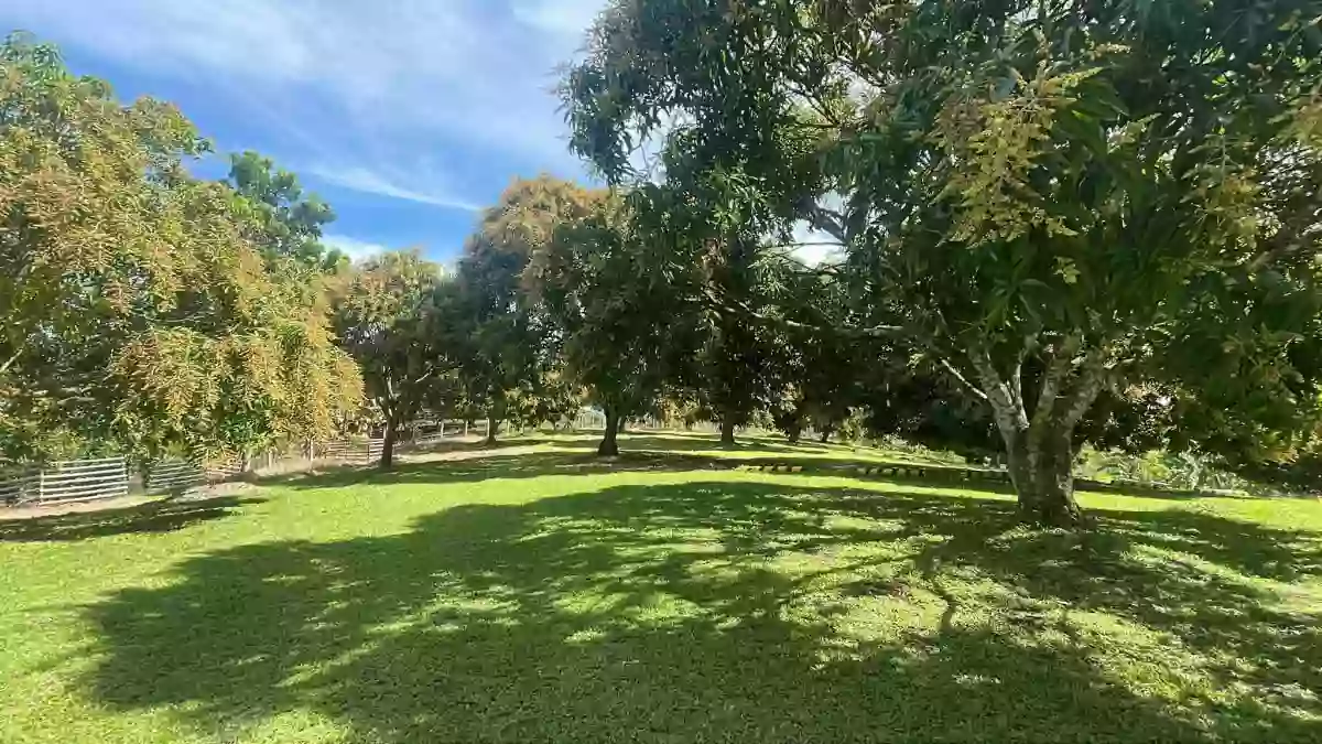 PRIME 1-HECTARE LOT FOR SALE IN PAHIRON, LUMBIA! — Agricultural Lot in Cagayan de Oro City, Misamis Oriental, 9000 — Photo 2