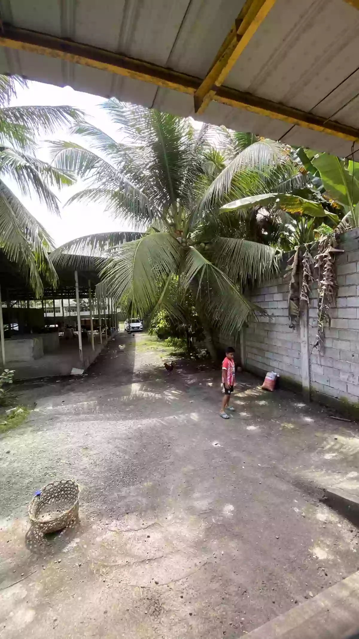 Rush Sale: 5BR House and Lot in Katangawan, General Santos City 3013 sqm — House and Lot in Katangawan, General Santos City, South Cotabato — Photo 4
