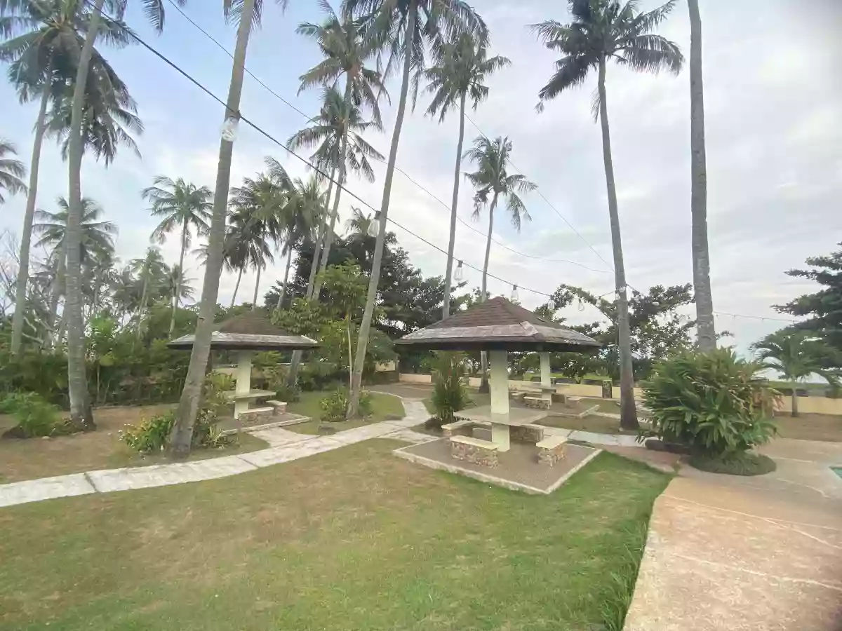 RESIDENTIAL LOT FOR SALE IN APO VISTA - 1336 — Residential Lot in Zamboanguita, Negros Oriental, 6218 — Photo 6