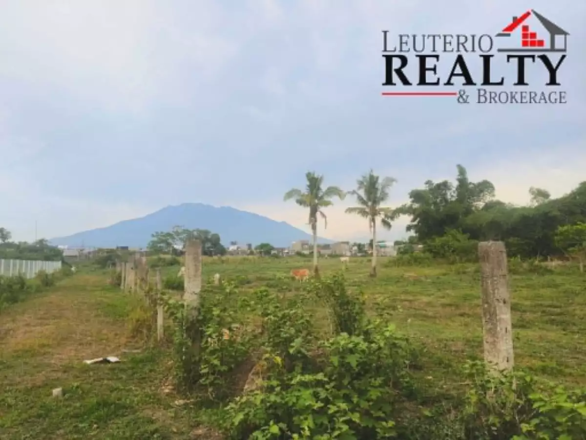 For Sale: Agricultural Lot in Pacol, Naga City — 4,000 sqm — Agricultural Lot in Naga City, Camarines Sur, 4400 — Photo 2