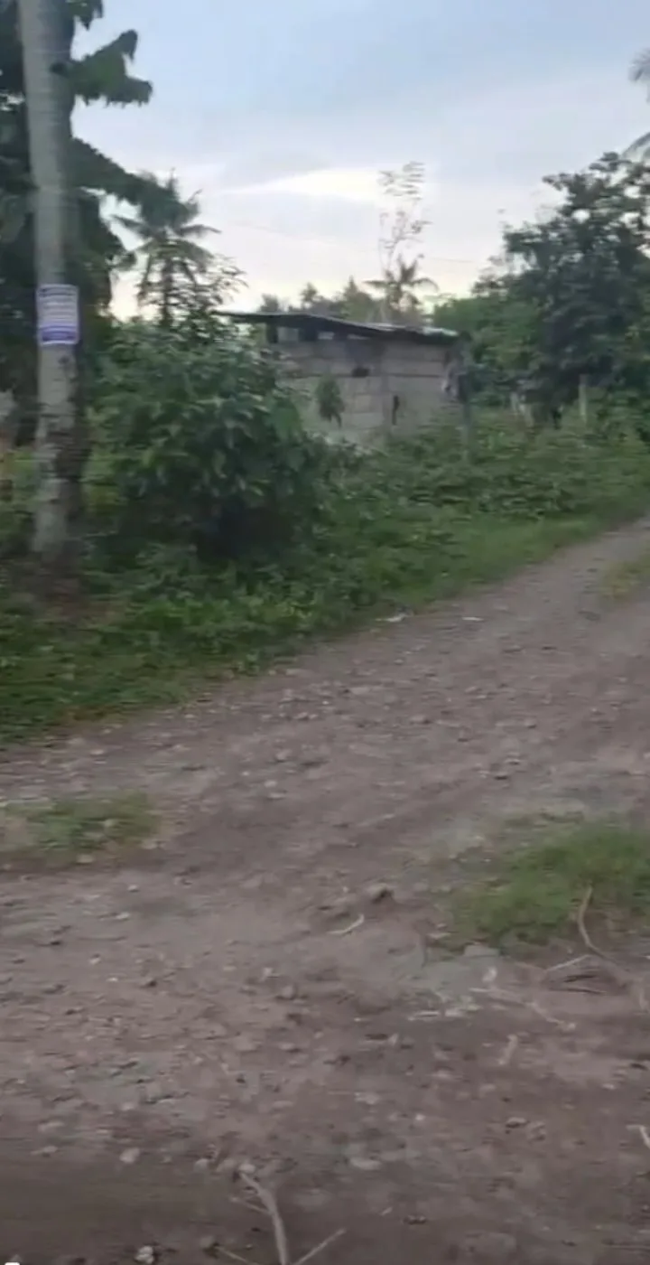 For Sale: Residential Lot Near Bacong Rural Health Unit, Bacong — 500 sqm — Residential Lot in Barangay Hall, Combado, Bacung — Photo 4
