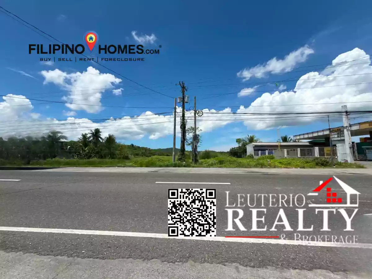 For Sale: Commercial Lot in Poblacion, Pamplona — 90000 sqm — Commercial Lot in Pamplona, Camarines Sur, 4416 — Photo 2