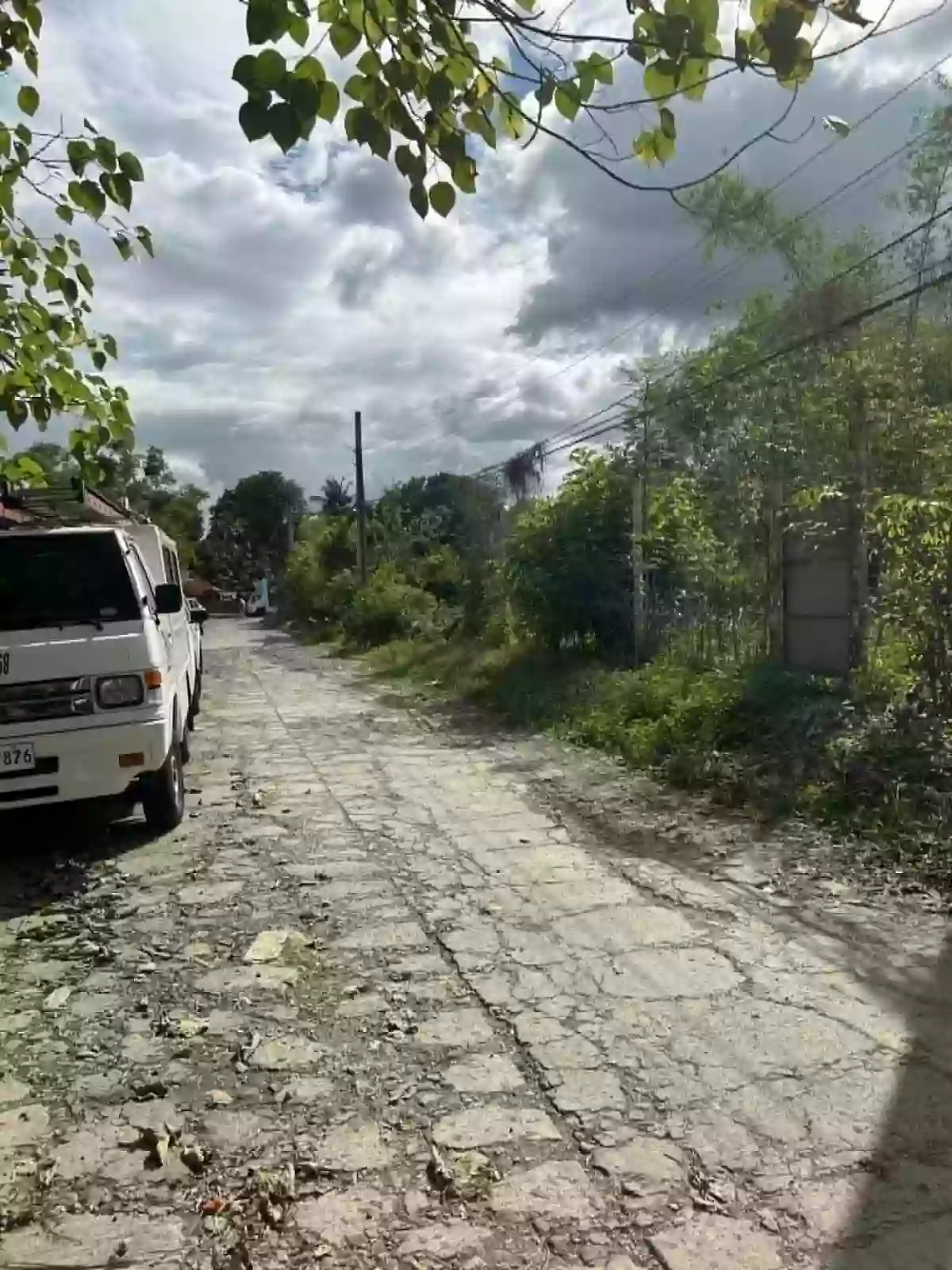 Lot For Sale here in Palestina Pili — Residential Lot in Palestina, Pili, Camarines Sur — Photo 3