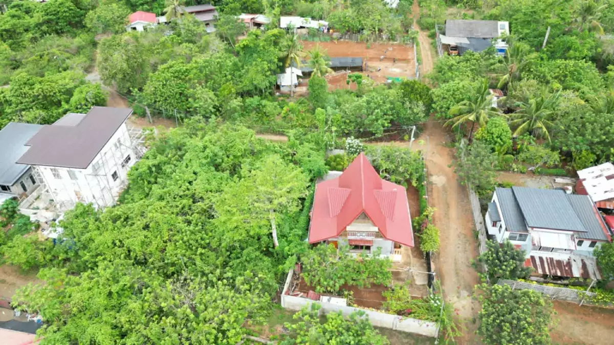 LOT ONLY  in Brgy. San Jose Puerto Princesa City Palawan - photo 2