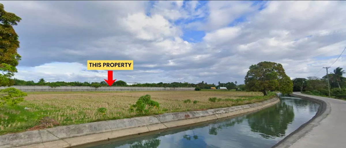 For Sale Agricultural Lot in Bulihan, Plaridel — 31,587 sqm — Agricultural Lot in Bulihan, Plaridel, Bulacan — Photo 2