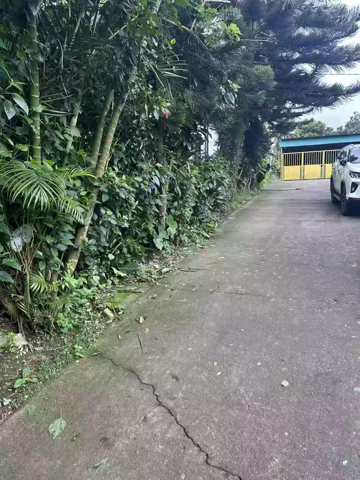 For Sale: Residential Lot in Patutong Malaki South, Tagaytay City — 258 sqm — Residential Lot in Tagaytay City, Cavite, 4120 — Photo 3