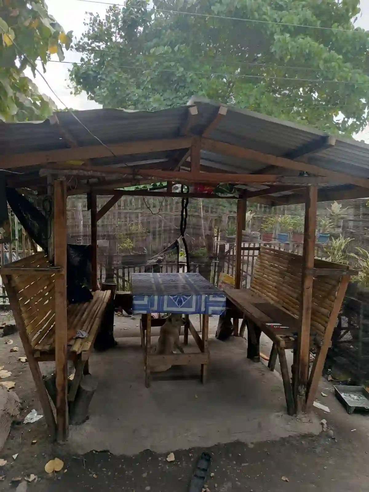 For Sale: 5BR Apartment Near ND-Siena, General Santos City — Drying Area — Apartment in General Santos City, South Cotabato, 9500 — Photo 5