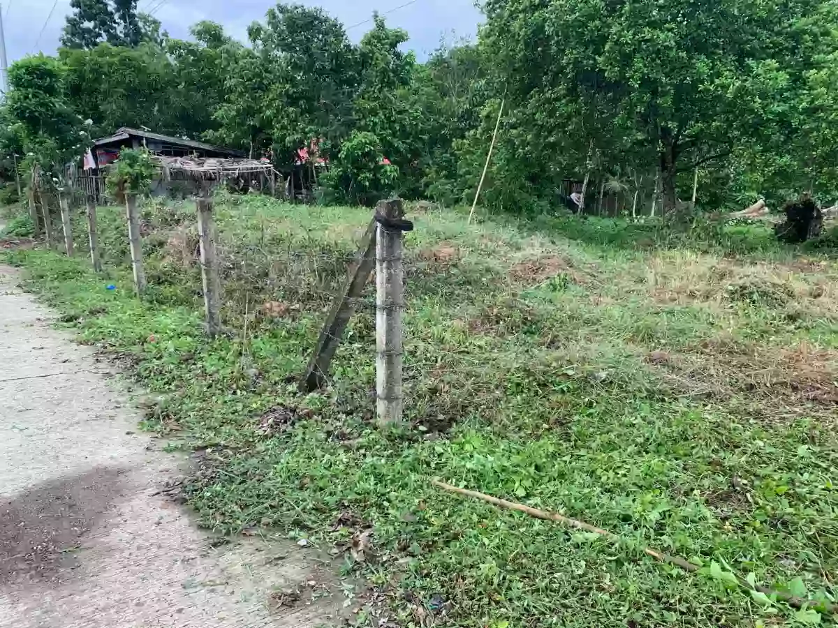 1631 sqm Residential Lot for Sale in Piña, Buenavista
