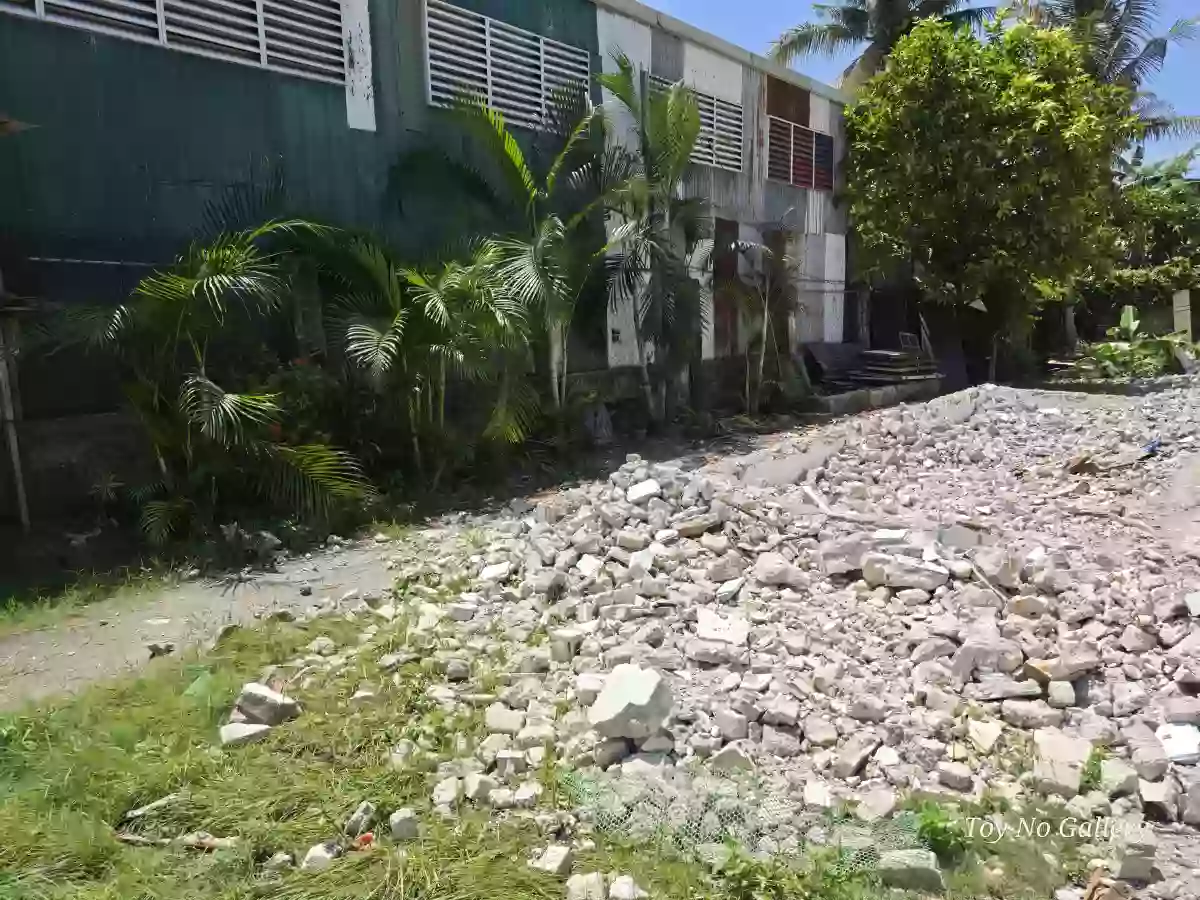 For Lease: 846 sqm Commercial Lot in Sangat, San Fernando Cebu — Commercial Lot in San Fernando, Cebu, 6018 — Photo 3