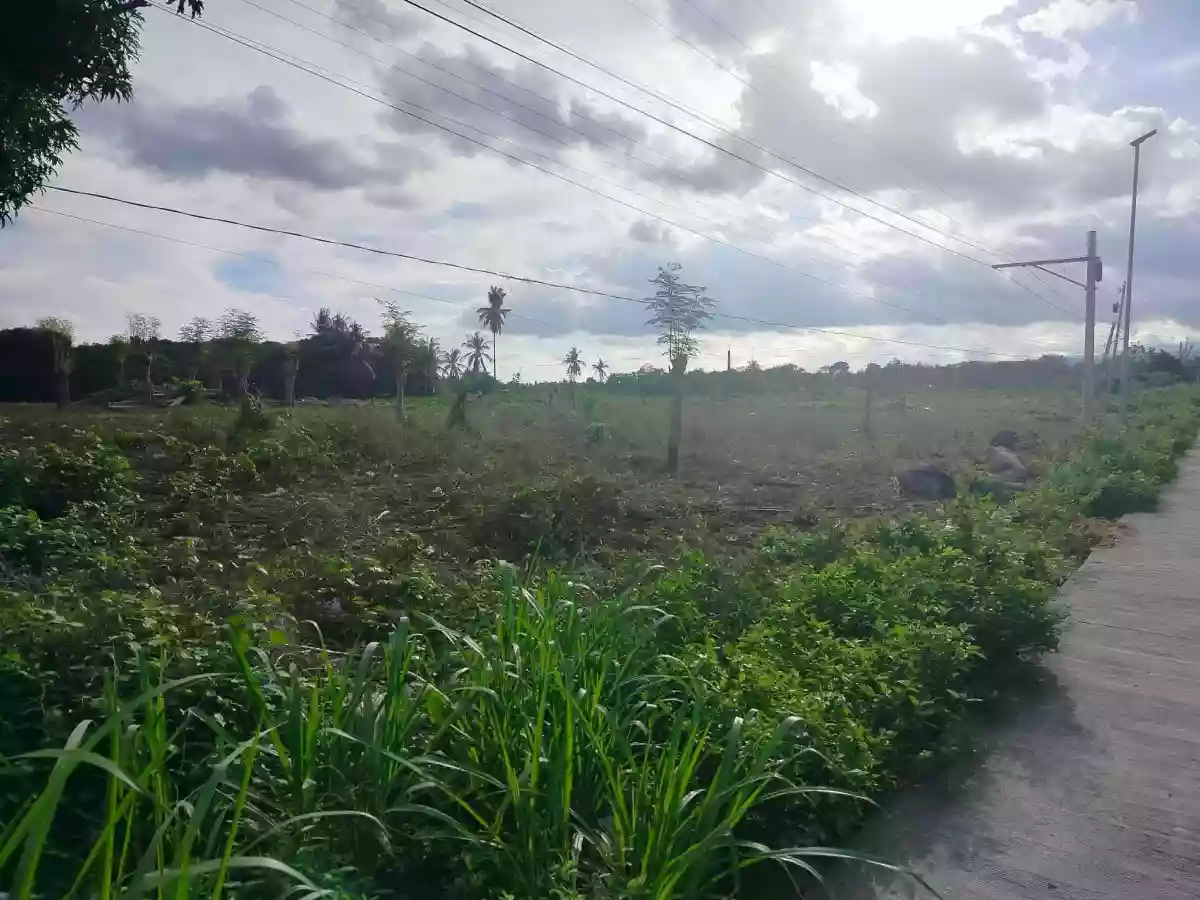 Dauin lot for sale — Agricultural Lot in Dauin, Negros Oriental, 6217 — Photo 4